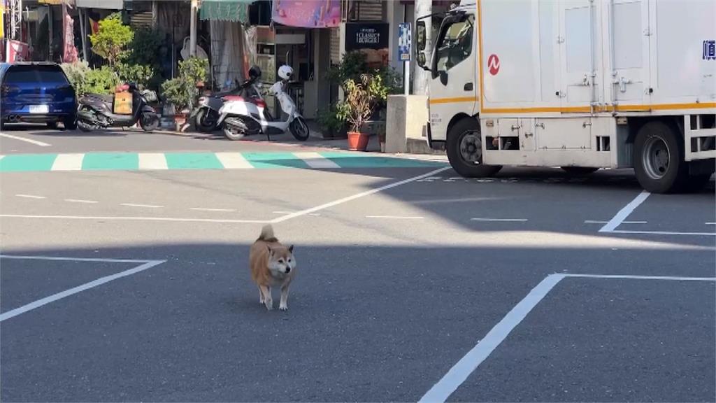 「違停又亂丟垃圾」劣行全都錄！　環保局：將開單告發