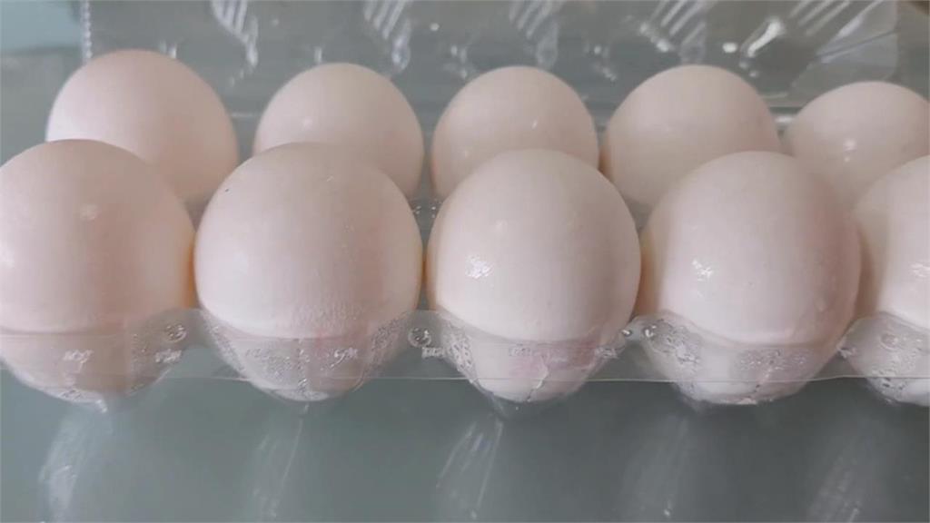 全聯挑蛋好頭痛?價差翻倍…內行曝關鍵:看蛋殼「1字母」秒懂怎麼選