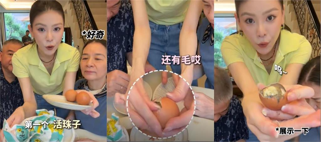 舔共女星疑違規偷渡「活體胚胎蛋」返台!防檢署曝「最新聲明」:展開調查中