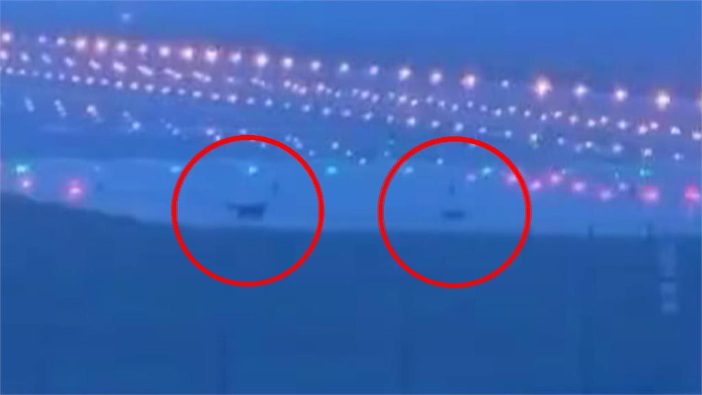 機場跑道「狗狗逛大街」　恐影響飛安！桃機公司：即時驅離