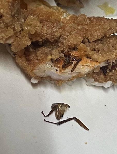 嗑雞排便當「內餡包蟑螂」超恐畫面曝！咬一口「殘肢嵌進肉」業者反應扯爆