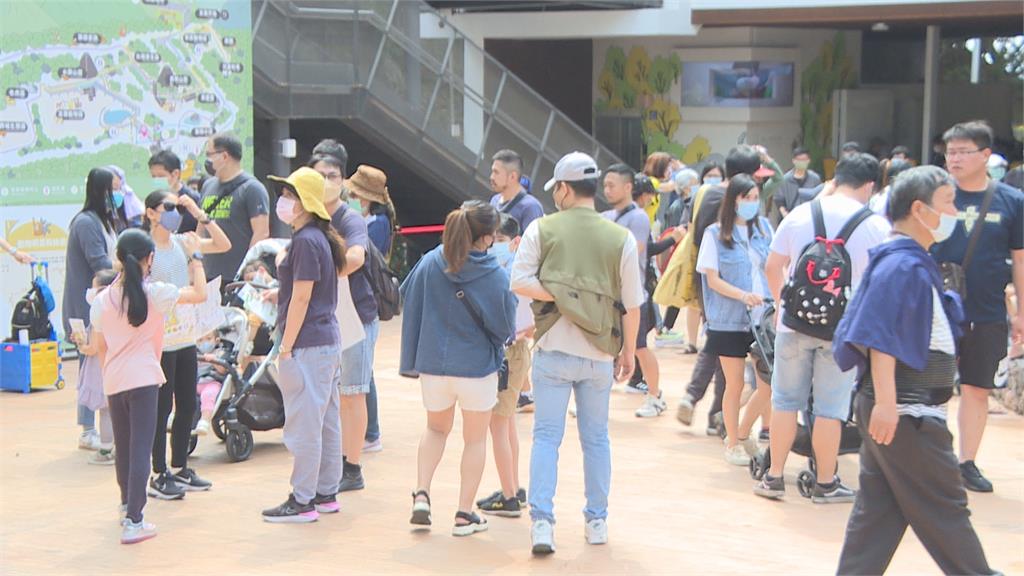 這裡的狒狒一隻都沒少！　兒童節祭免費優惠邀入園