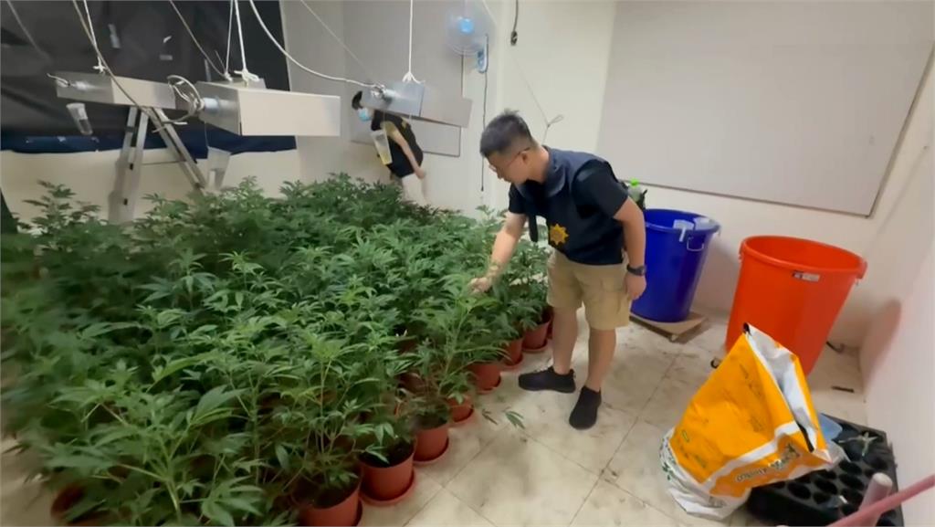 台南犯罪集團藏身寵物店 吸收青少年暴力討債、販毒