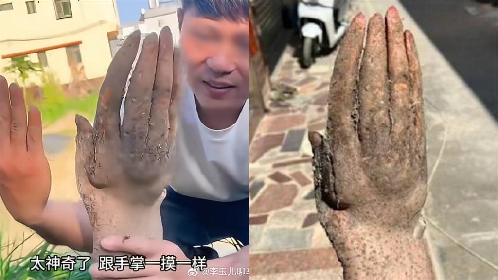 自家菜園挖出「人類手掌」？五指分明超詭異…竟有人開價3.7萬收購