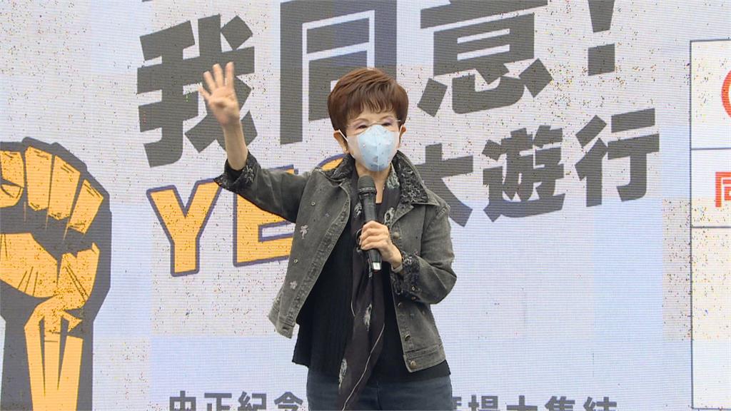 藍秋鬥大遊行 洪秀柱:民進黨愛台 就像林秉樞愛高嘉瑜
