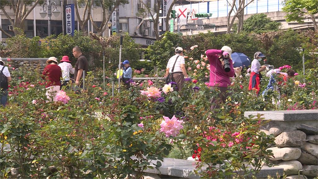 男竟趁台北玫瑰園晚間無人 蹲人行道偷土
