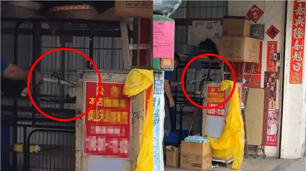 長棍狂戳猛敲「籠中小貓嘶吼逃竄」!碗粿店老闆涉虐貓畫面曝⋯網氣炸「蛋洗」門口