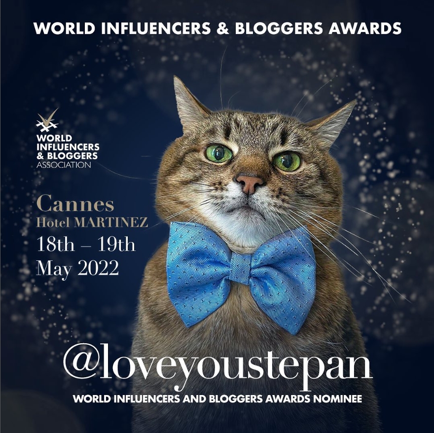 烏克蘭「百萬網紅貓」3天募29萬！被提名「世界影響者和部落客獎」