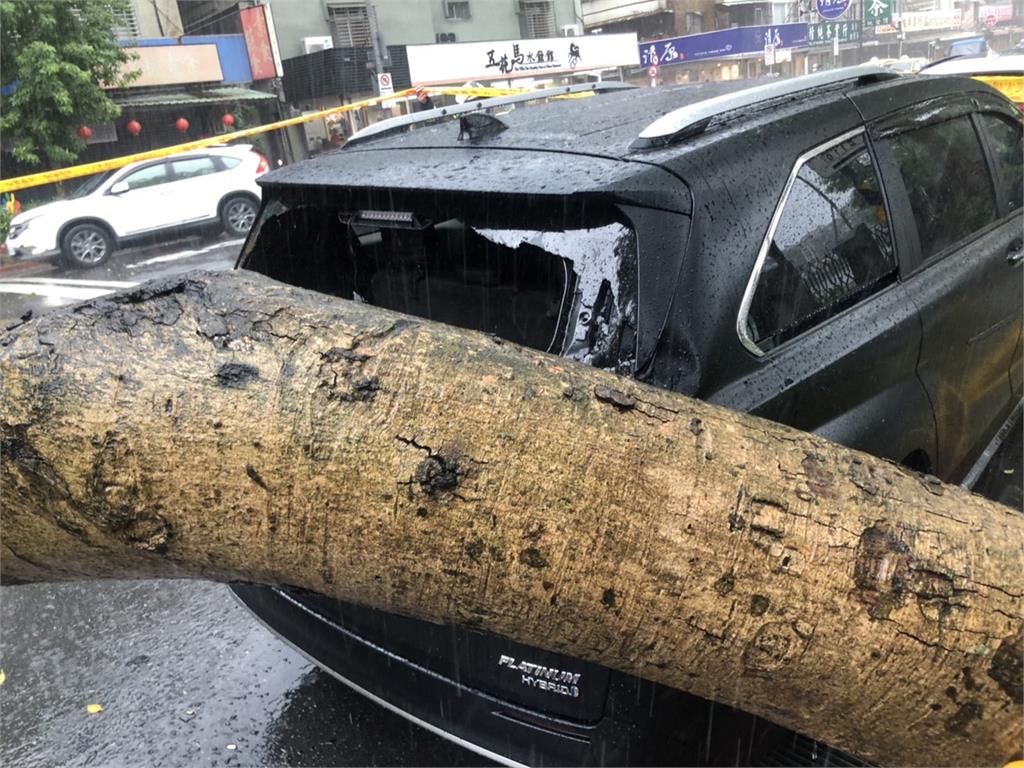 快新聞／午後雷雨炸！北市松山區20公尺路樹倒塌　轎車慘遭砸損