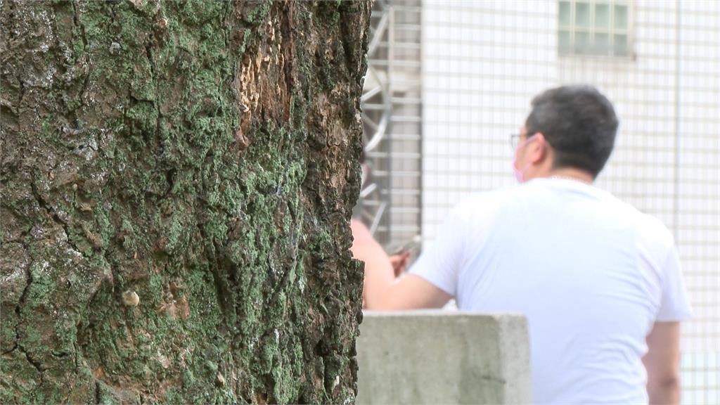 板橋某幼園園長涉施暴女童交保　家長氣炸喊：希望關久一點