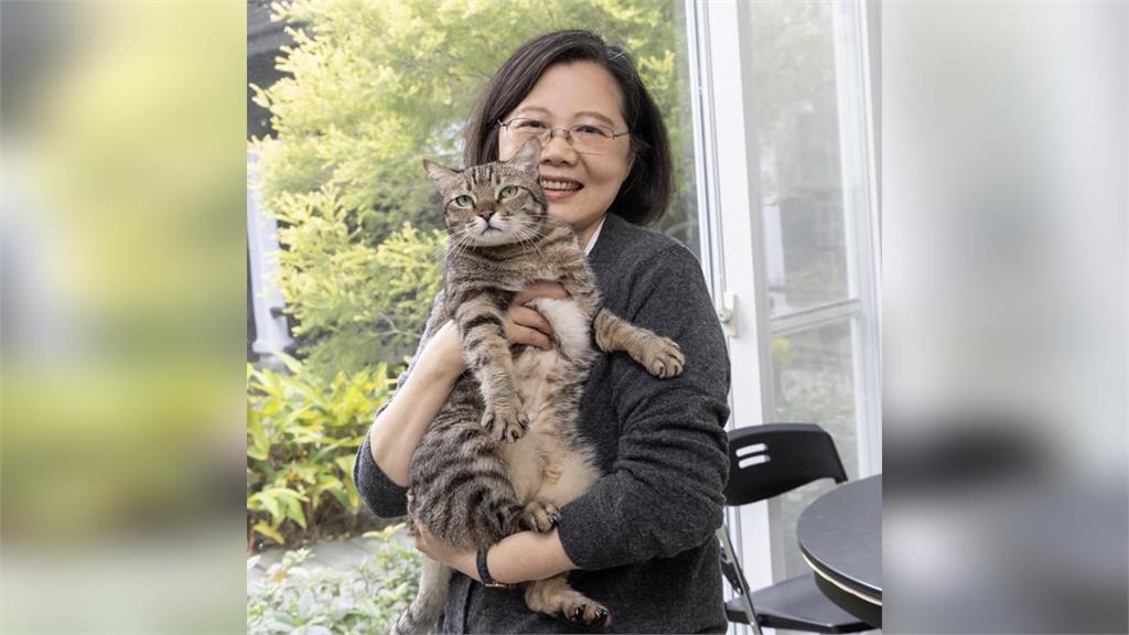 蔡英文貼春聯…全程遭「臭臉監督」：看我有沒有貼歪！網笑：壓力好大