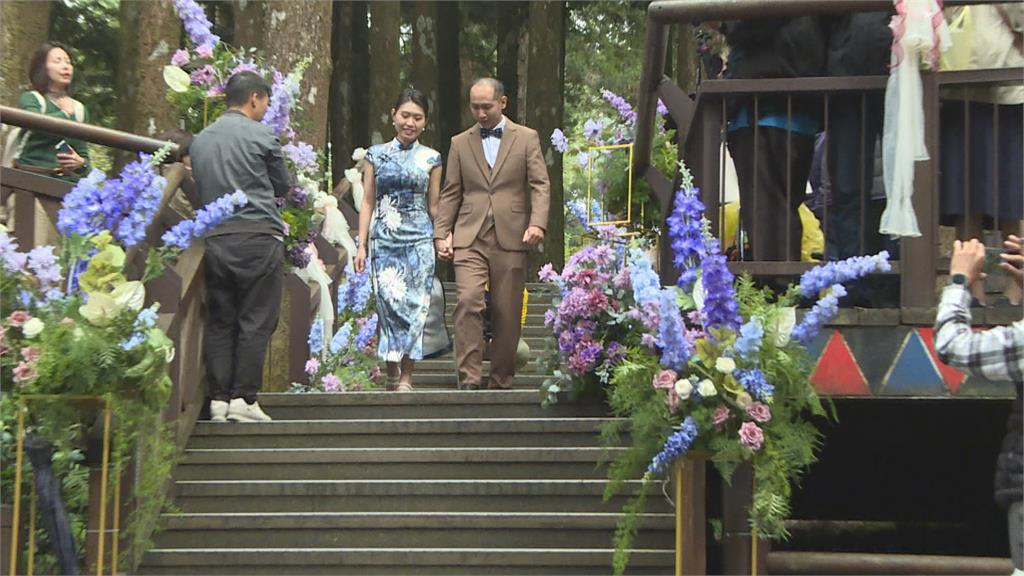 全台最高海拔森林系婚禮　16對海內外新人阿里山神木下互許終生