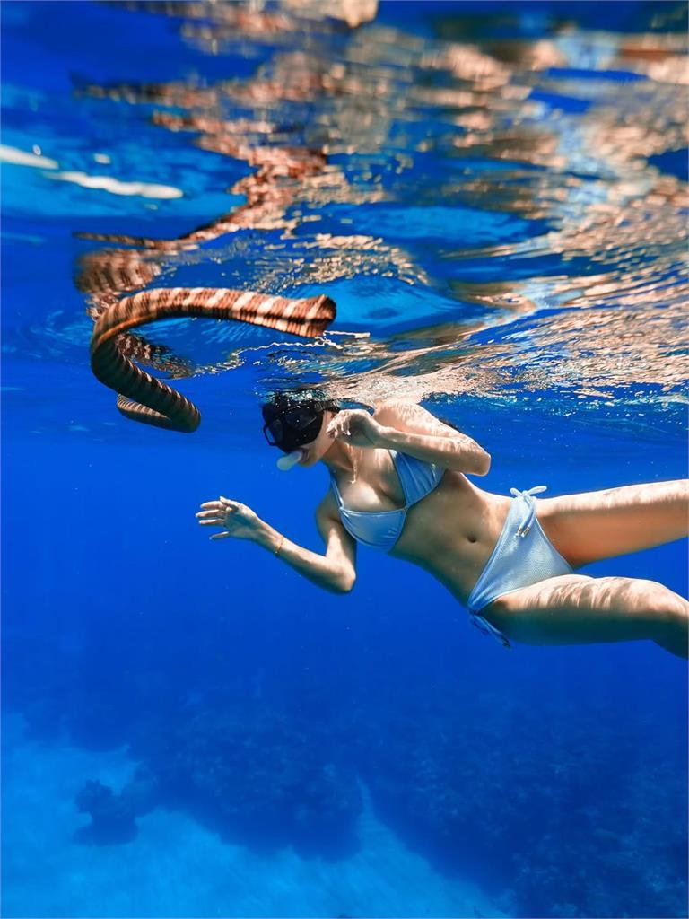 髮香來尬聊(圖影)/聽爸一席話踏上應援之路!「富邦張韶涵」卡洛琳大展歌喉收割琳魂