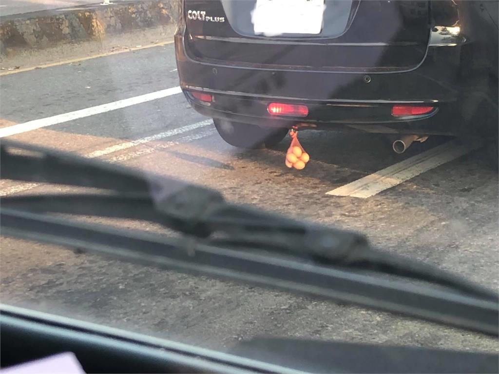 開車驚見休旅車「車尾掛雞蛋」!他問用途釣出內行曝「神秘真相」