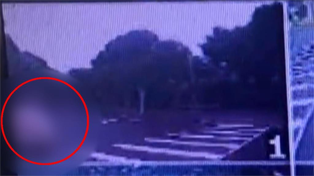 公車撞死乳癌權威 欣欣客運道歉.董座辭:司機便宜行事