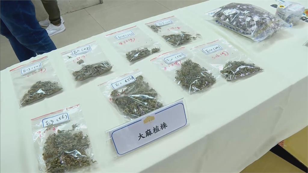 快新聞／差點毒害300萬人！刑事局、新竹警方聯手　破獲史上最大大麻案