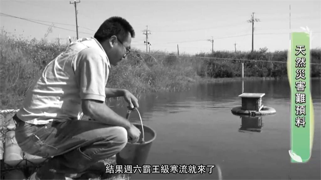 柯文哲砲轟農民保險政策 賴清德打臉「根本搞錯對象」