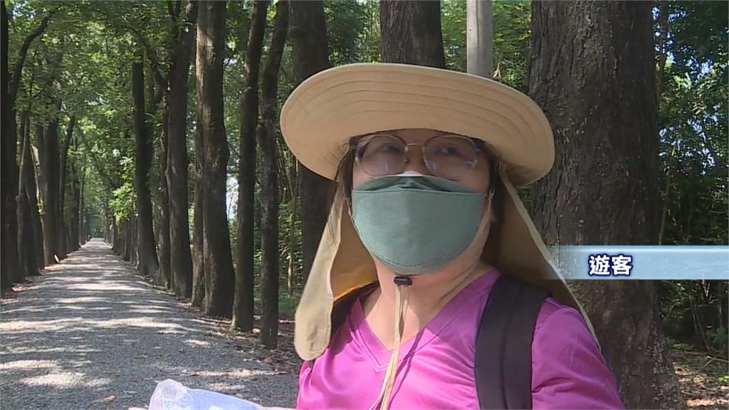旗山、美濃到六龜 40km單車道串遊人文自然美景