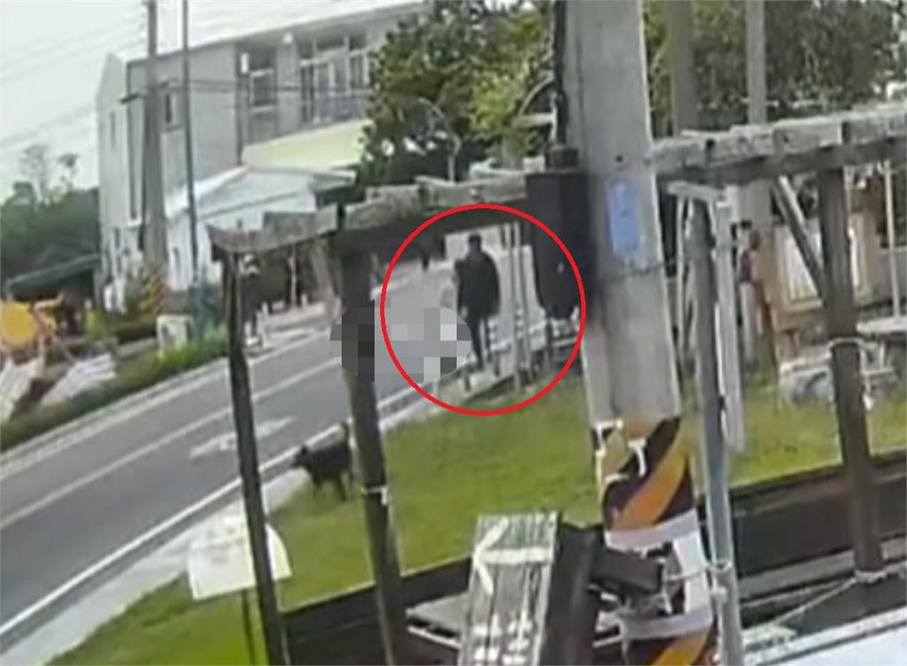 流浪狗狂奔而來!男童驚逃 家畜所捕捉被餵養夫妻阻擋