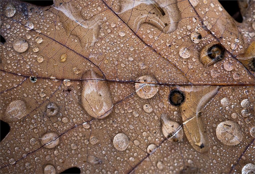 媽祖生日正逢「穀雨」!廖大乙提醒:求平安、招好運先做這2事