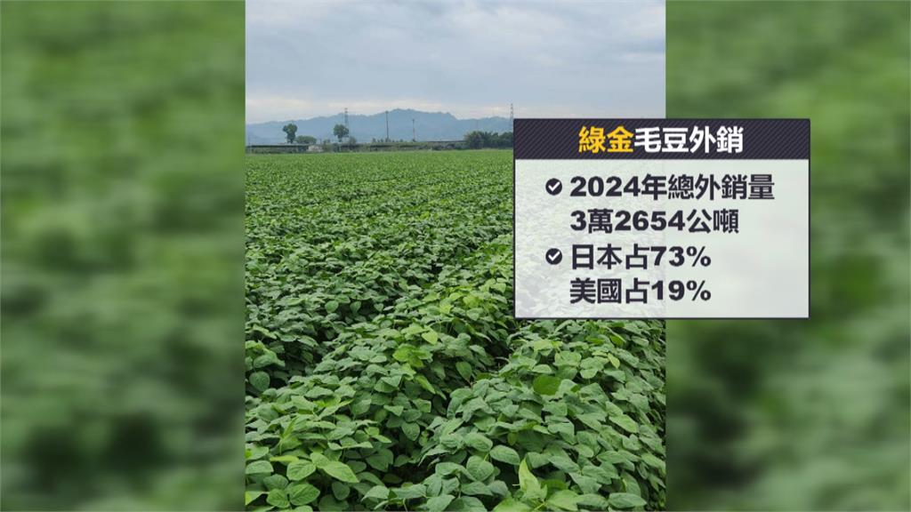 卓榮泰與毛豆業者座談 協助業者開拓國際市場
