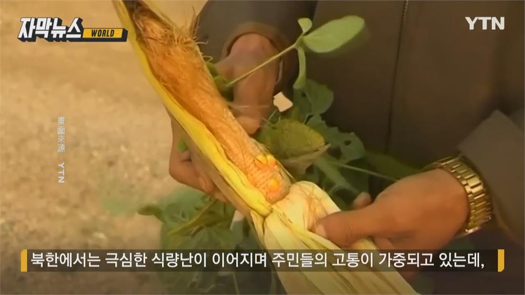 北朝鮮人民餓肚子仍要拚核武　北朝鮮核武支出高達181億