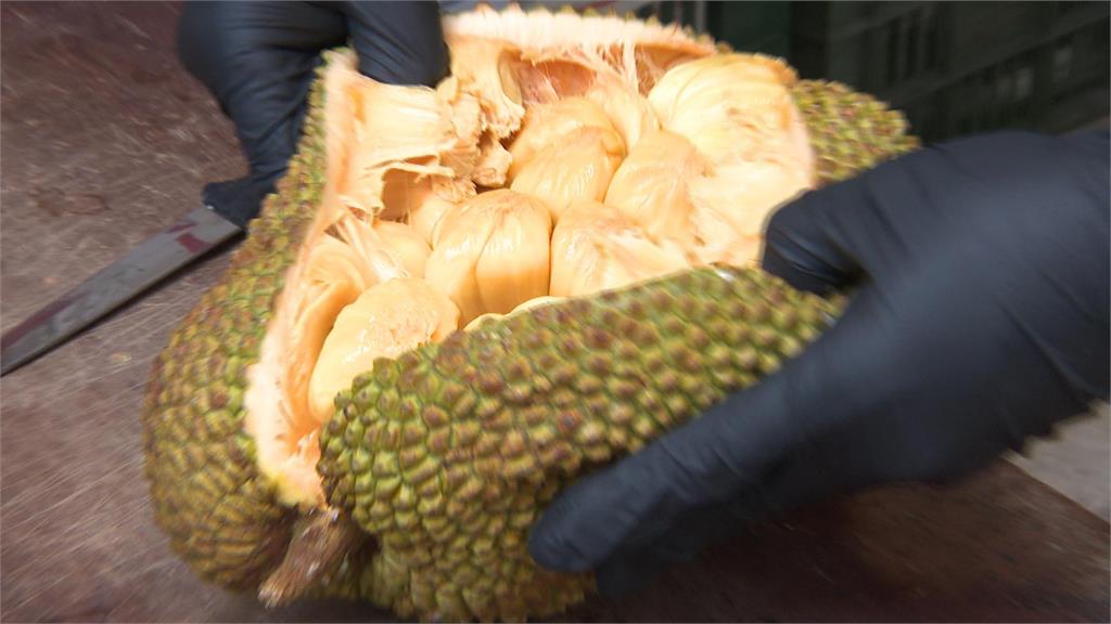 鄰居家飄瓦斯味急報案 凶手竟是「它」連消防也被騙