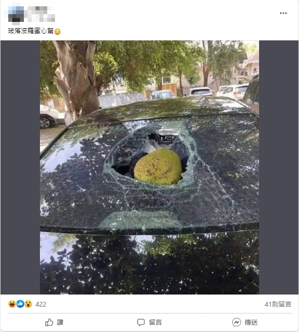 車停路邊慘被砸！她見這1物喊「玻落波羅蜜心驚」網驚：佛主的禮物