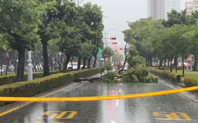 快新聞／大雨狂炸高雄！　新興區路樹倒塌躺路中