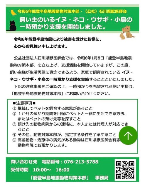 快新聞／日本石川縣震災滿2週　獸醫協會：免費照顧災民寵物1個月