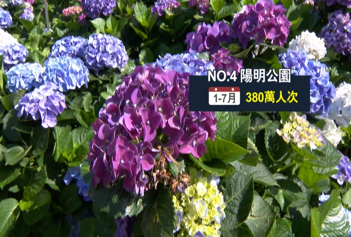 台北101輸這景點! 北市最強觀光景點是「這地方」