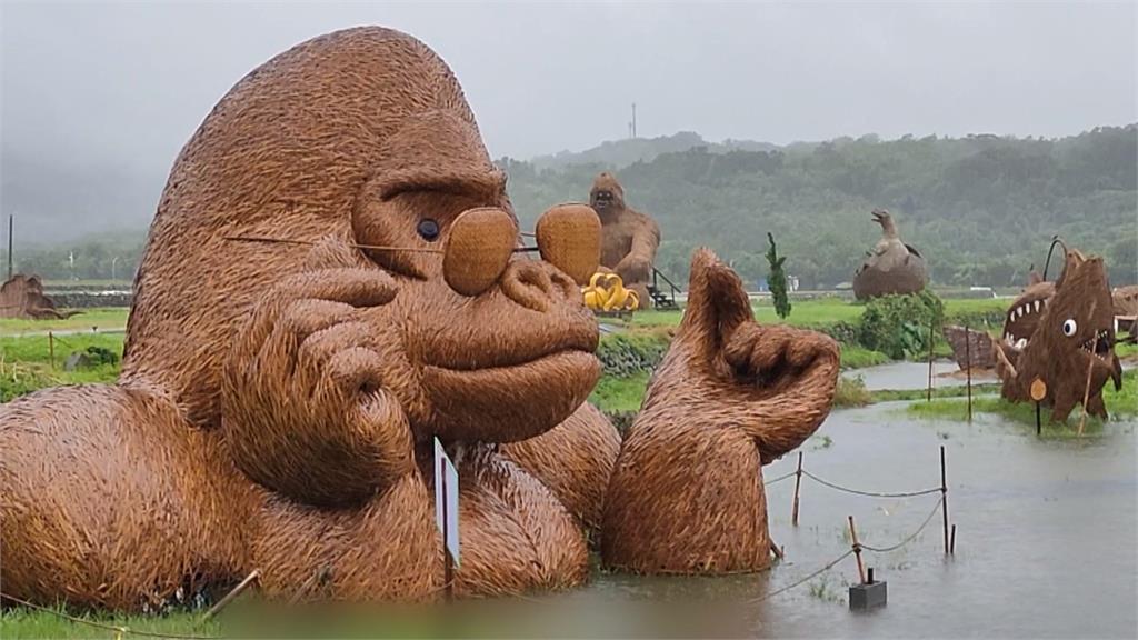 花蓮193線道沿線稻田淹沒 河堤旁眷養牛隻繩索吹斷亂亂跑