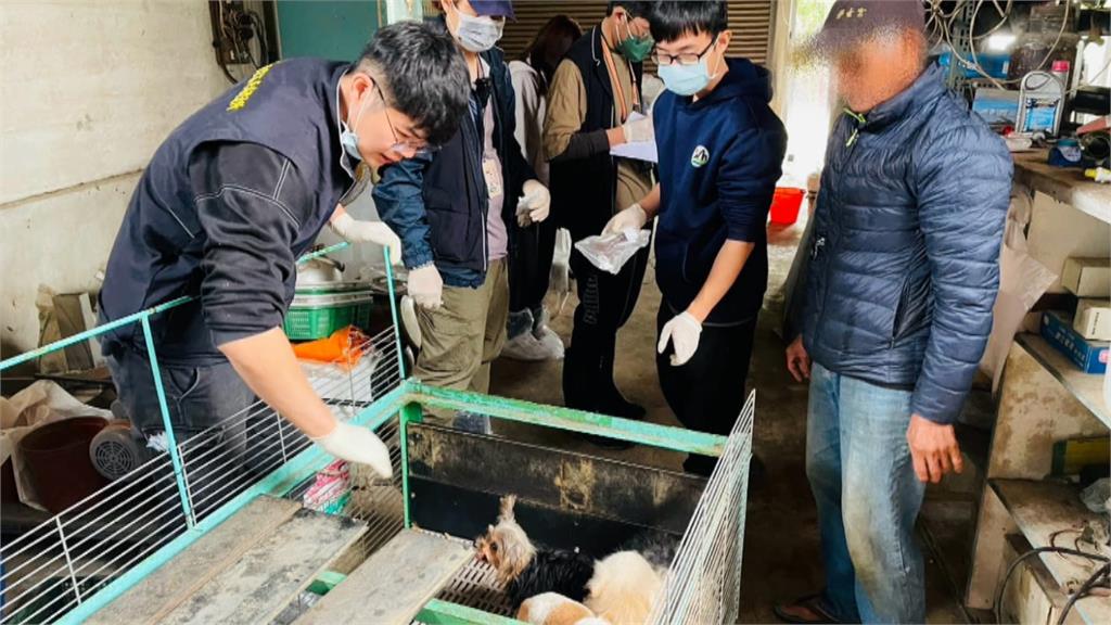 殘忍！嘉義犬隻遭割聲帶　黑心繁殖場遭移送偵辦