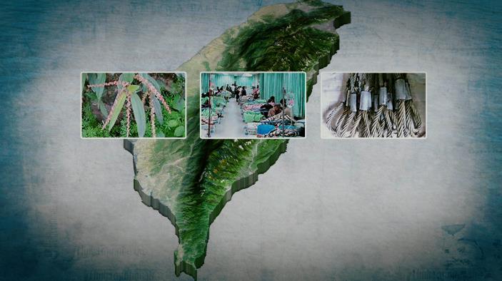 【終戰80年】日本南進戰線　台灣人替殖民政府打的仗