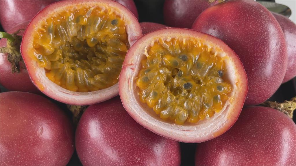 台灣「水果王國」冷知識大解密！番石榴 C 勝奇異果、鳳梨「頭」在下面？