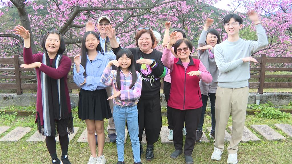全台最美櫻花巷! 陽明山平菁街42巷 寒櫻綻放成粉嫩花海