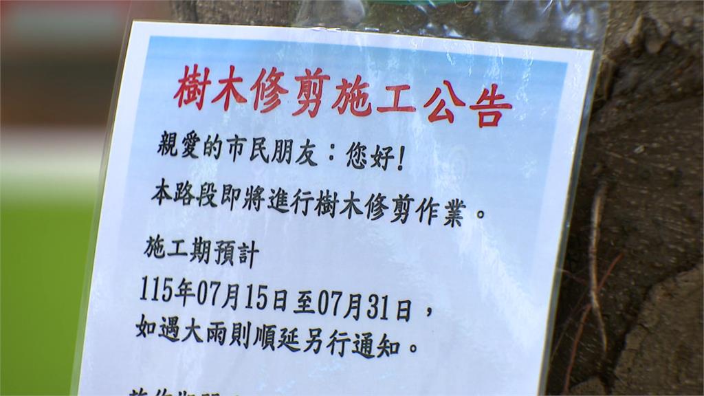 民生社區巷弄大規模修樹　居民憂「砍樹」喊話排班監工