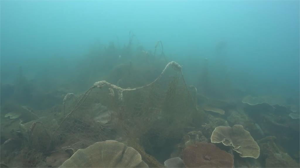 生態受到影響！海龜遭廢棄漁網纏繞喪命　潛水員急求助農漁局獲解決
