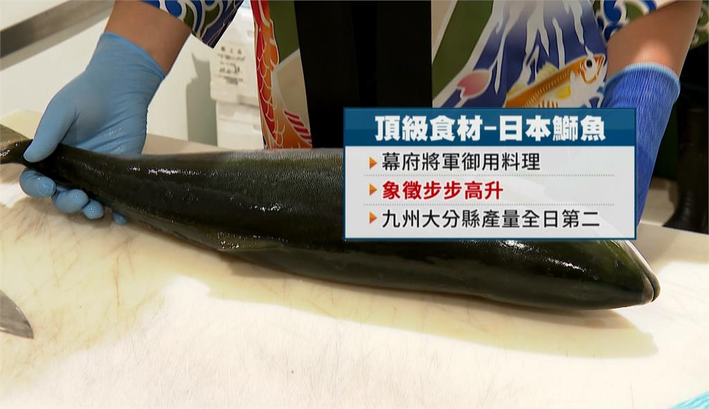 歐伊細！日本空運新鮮鰤魚　現切現賣「解體秀」超吸睛