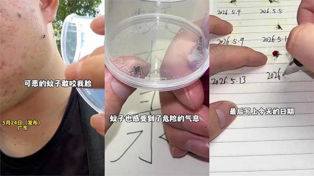 夏天怨念超深！廣東男自製「蚊子生死簿」一做就是4年...網笑翻：碰上閻王了