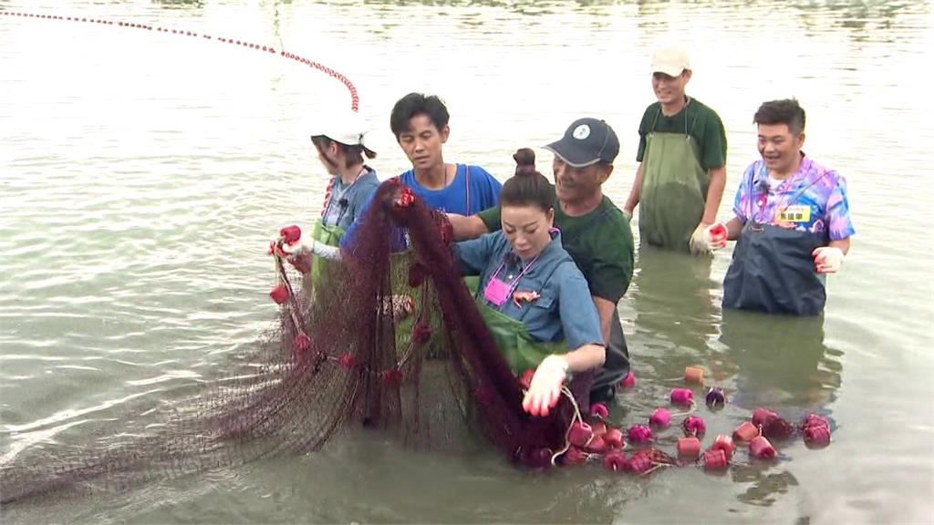 體驗養殖辛苦頂著超級大雨搶收!藝人全身濕透透站在蝦塭池