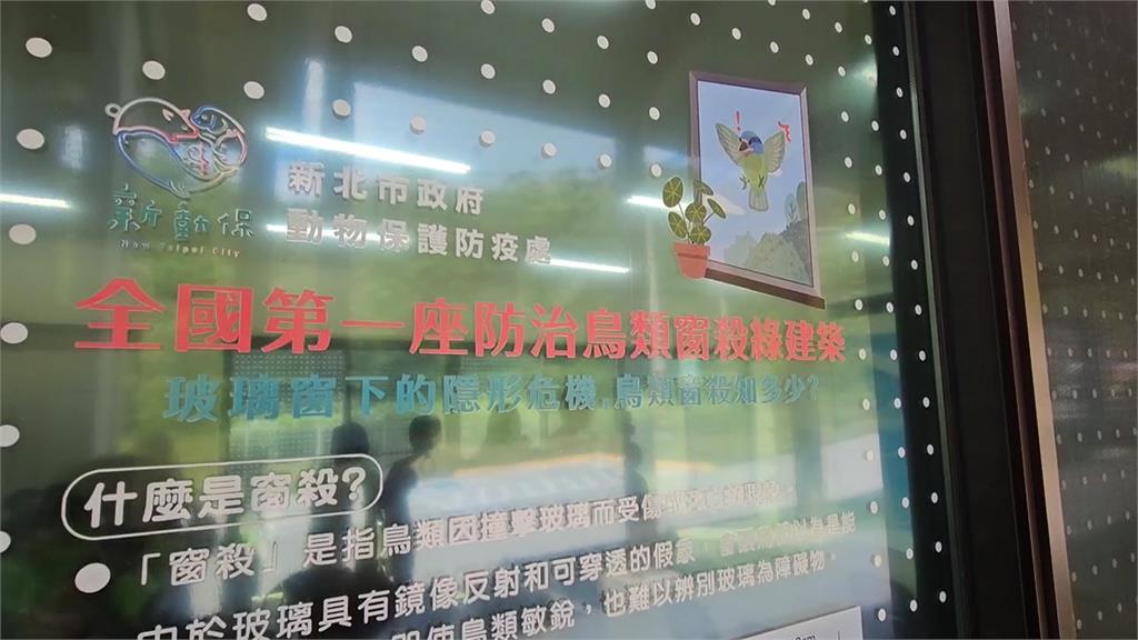 快新聞/世界動物日100周年!新北防鳥撞設計納入教育 142面玻璃全面防撞