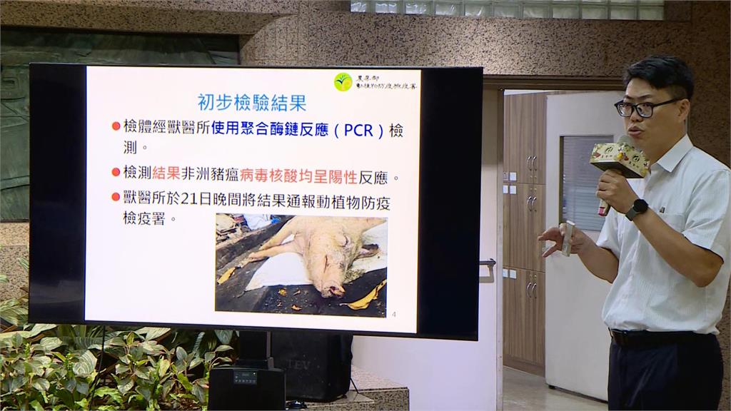 非洲豬瘟疑入侵台灣 政府全力強化食安把關、邊境查驗