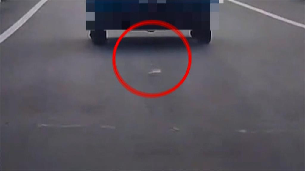 腳踏車掛口罩遭吹落！貨車駕駛「挨罰1.2萬」　訴訟敗訴