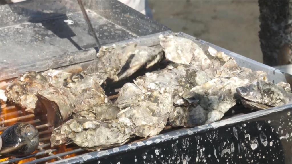 異言堂／彰化蚵仔產量大減 蚵農轉型開「鐵牛」載客