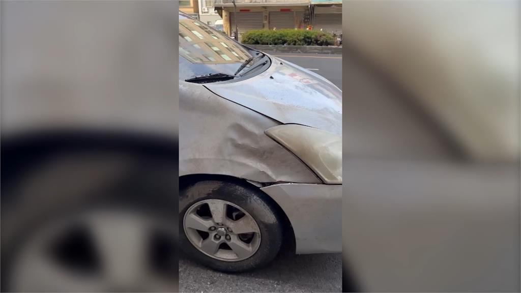 水鹿跑上74線快速道路! 直直撞上轎車跛腳肇逃