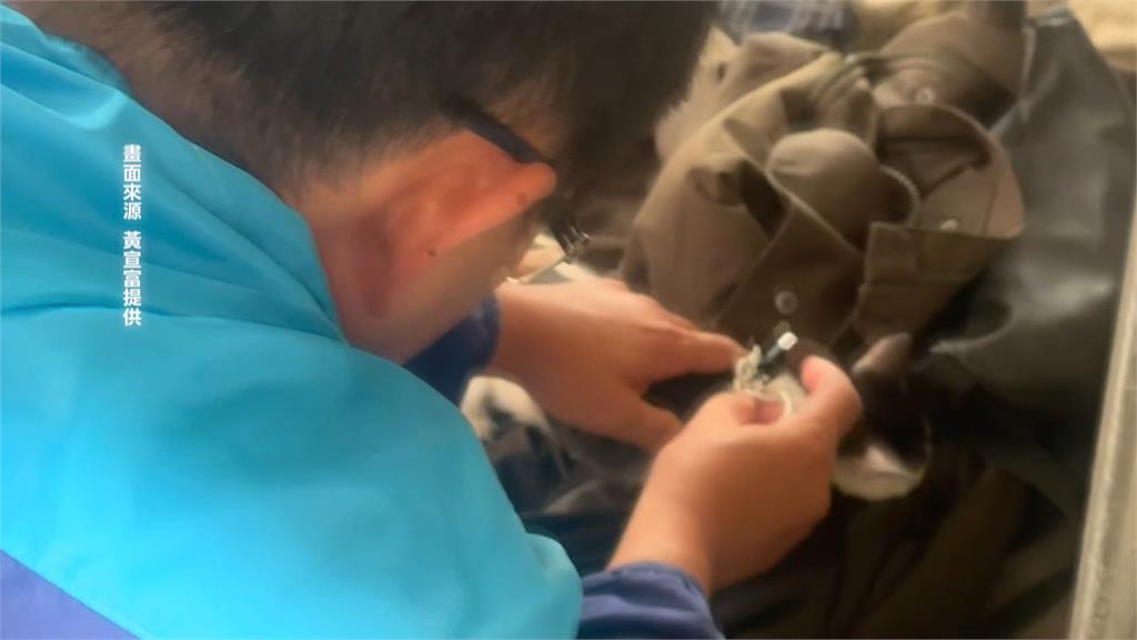 竹北車站傳男子虐貓？　3幼貓遭手機線纏繞民代急通報