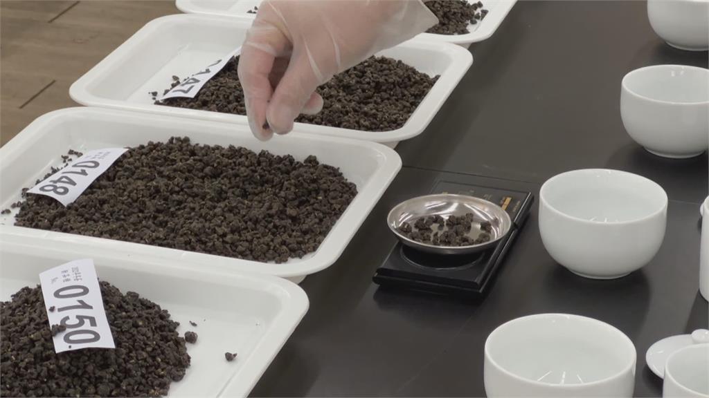 雨水少冬茶產量大減! 茶葉價格最高恐上漲2成