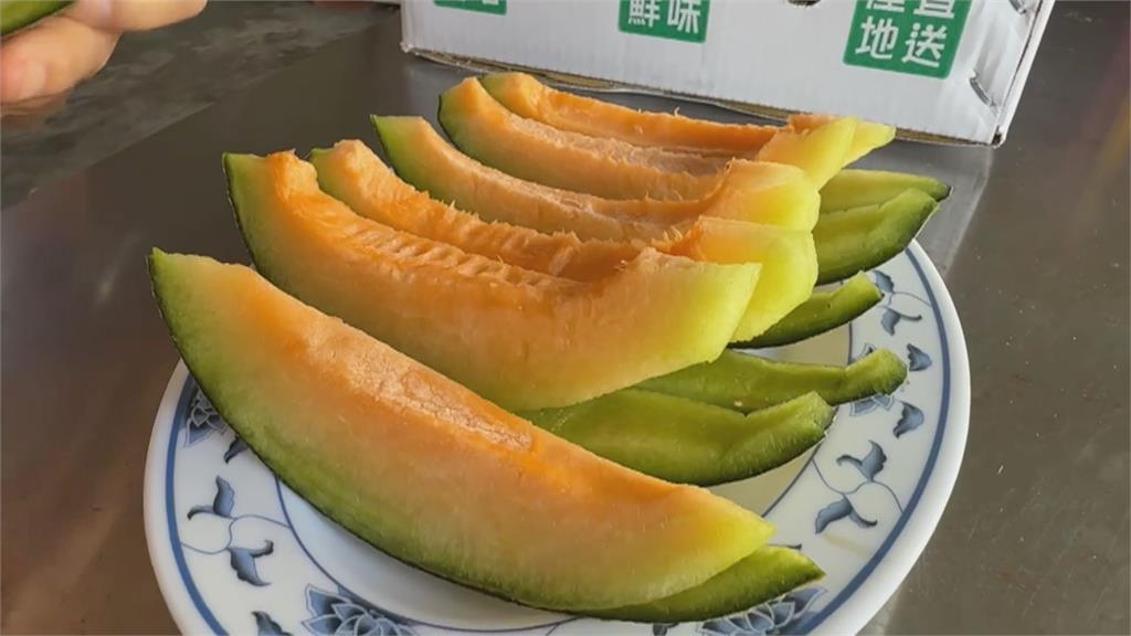 「嘉義極光」卡蜜拉洋香瓜遇寒害　收成延後半個月下週上市