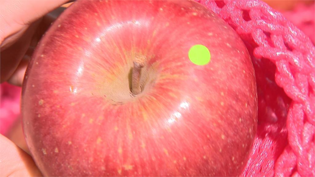 台灣人愛青森蘋果　預估今年銷售量可達620萬顆